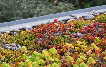 the cost of Little Baddow green roof installation