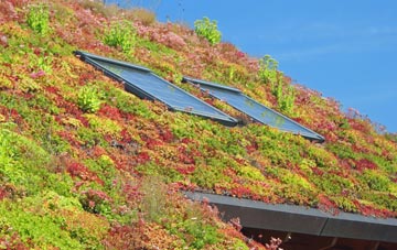 Little Baddow living roof systems